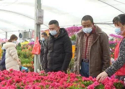 鮮花消費(fèi)熱潮涌動(dòng) 美團(tuán)外賣銷售激增與產(chǎn)業(yè)升級并行